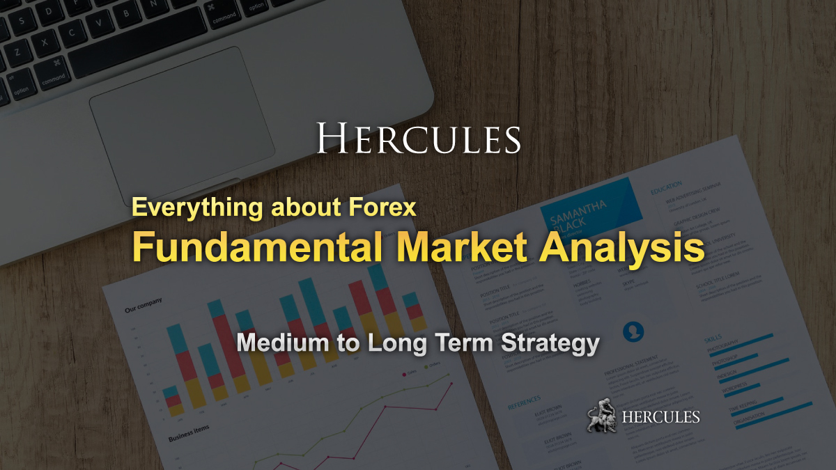 Everything about Forex Fundamental Market Analysis