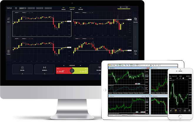 everfx mt4 status trading platforms