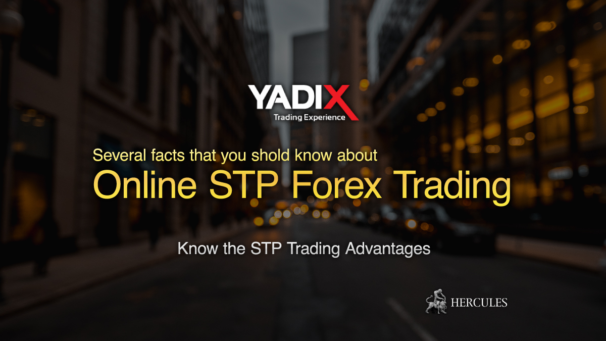 YADIX - Facts about STP Trading Advantages that all online Forex traders should know