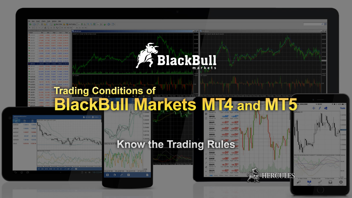 BlackBull Markets - Trading Conditions of BlackBull Markets MT4 and MT5 accounts