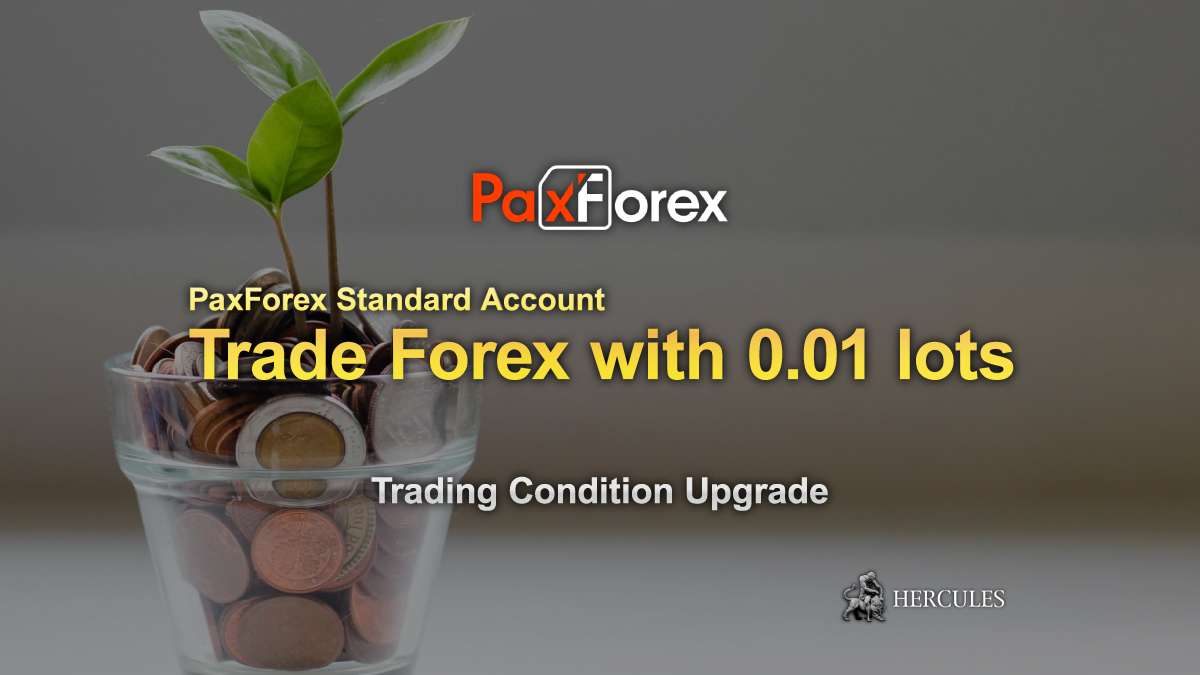 PaxForex - 0.01 micro lot trading on PaxForex Standard account type is now available