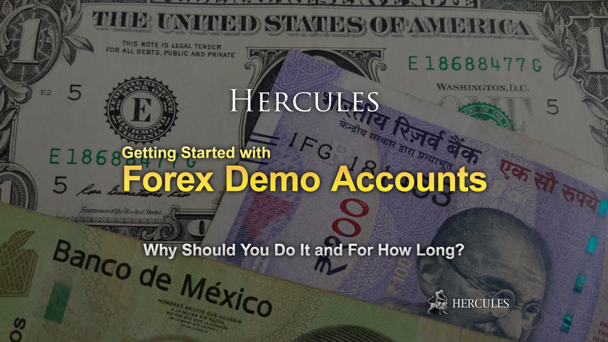 Forex Demo Accounts: Why Should You Do It and For How Long?