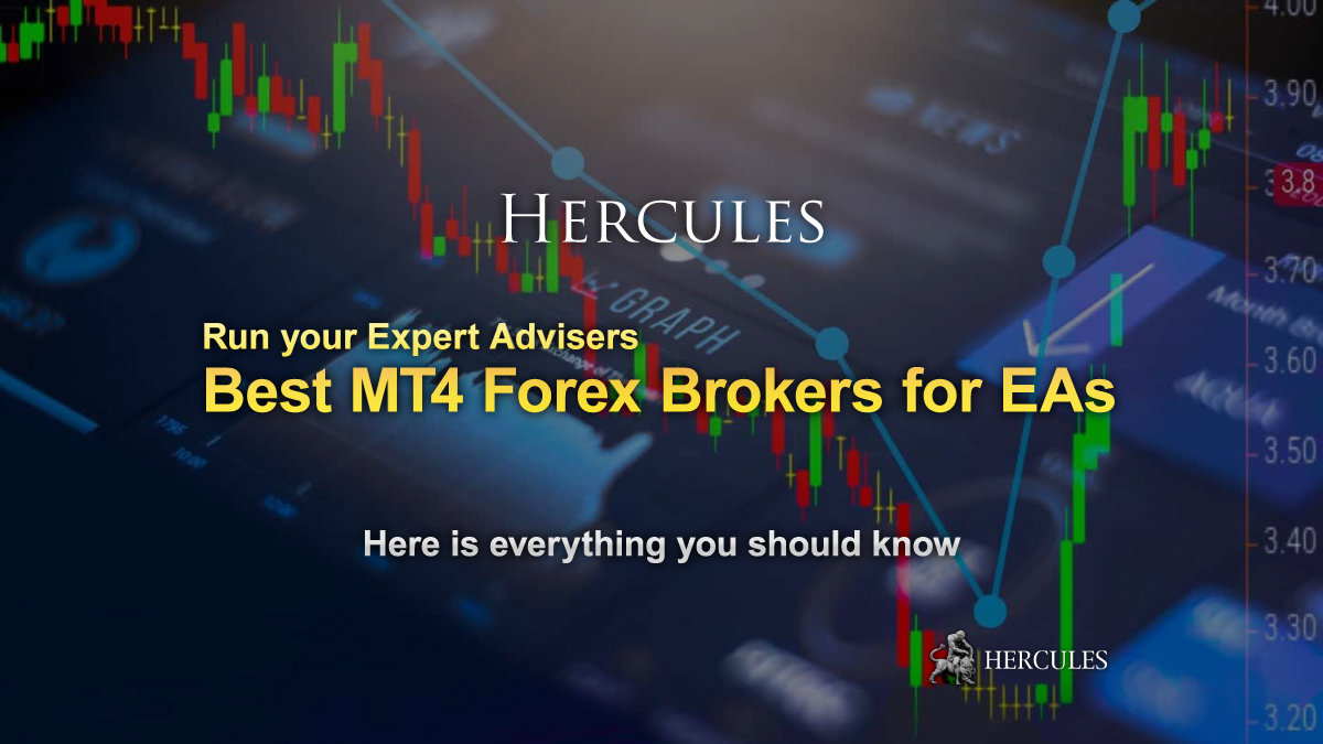 The Best MT4 Forex Broker to run EAs (Expert Advisers)