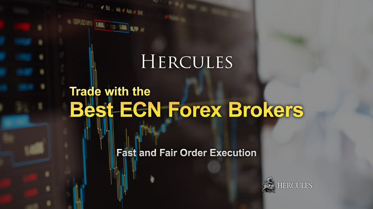 Trade with the 3 Best STP and ECN Forex Brokers