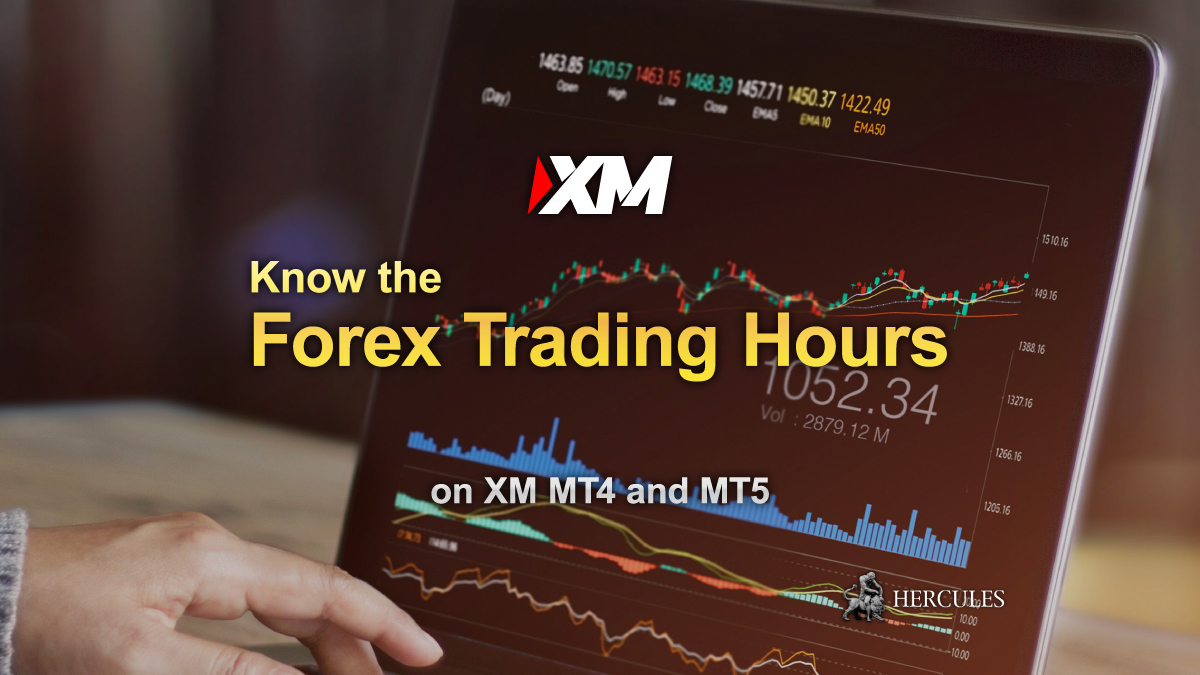 XM - Forex Trading Hours of XM MT4 and MT5