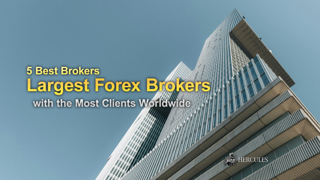 Top 5 Brokers with the Most Clients Worldwide | The Largest Forex Brokers